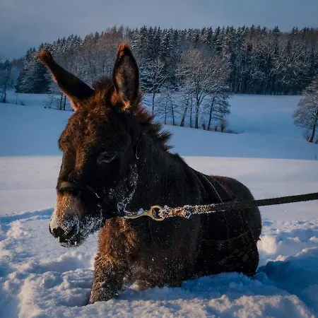 Moosmuehle Allgaeu Gospodarstwo wiejskie